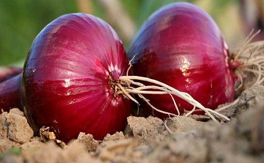 نگاهی به پر بیننده ترین اخبار روز گذشته در سمنان