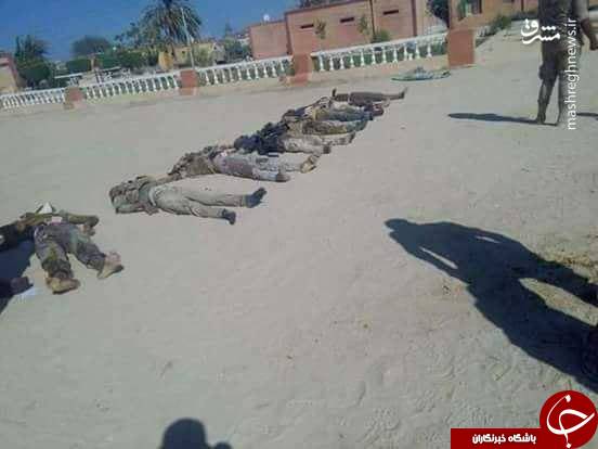 غافلگیری داعش در مصر +عکس