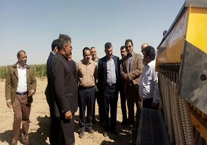 جایگاه نخست شهرستان خاتم در کشت محصولات زراعی در استان