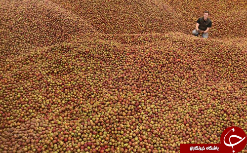 تصاویر روز: از قیافه مضحک بوریس جانسون در مرکز چاتم هاوس تا دیوار اقرار به عشق در چین