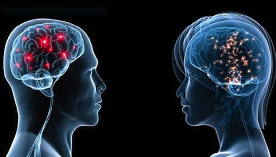بررسی ۱۰ تفاوت اصلی بین مغز زنان و مردان