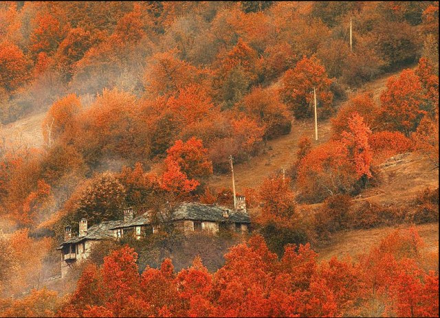 تصاویر زیبا و رویایی از فصل پاییز