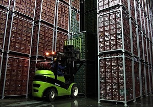 ذخیره سازی ۶۵۰ هزار تن سیب درختی تولیدی در سردخانه‌های آذربایجان غربی