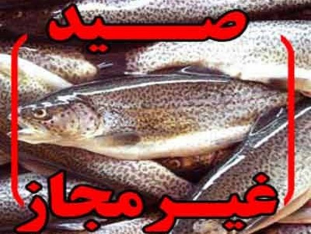 ۳ماهیگیر غیرمجاز سیروان در چنگ قانون