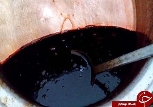 کسب درآمد روستاییان مازندرانی از فرآوری میوه های جنگلی&nbsp;