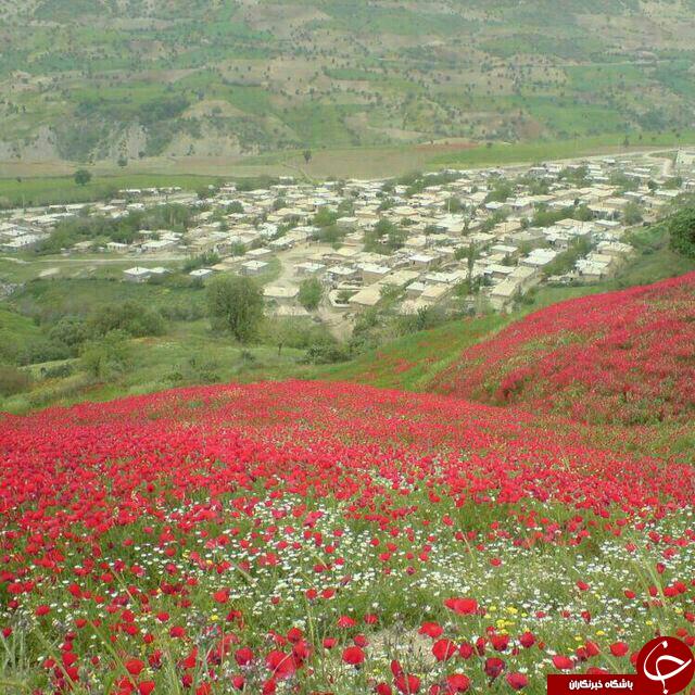 گوشه&zwnj;ای از زیبایی&zwnj;های طبیعت روستای &laquo;زلان&raquo; + تصاویر