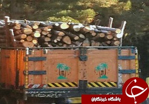 کشف محموله چوب قاچاق