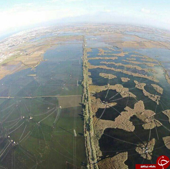 تصویر رعب انگیز تورهای هوایی برای کشتار پرندگان  مهاجر در فریدونکنار