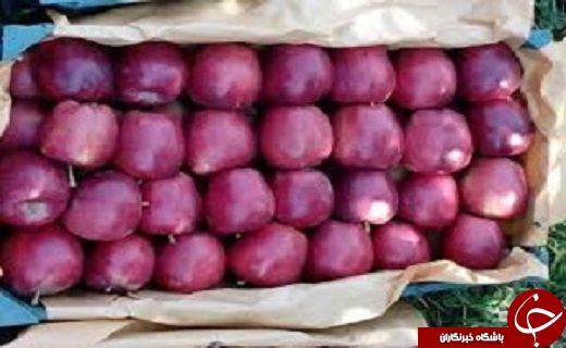 اختصاص تسهیلات به بخش تولید روستایی و مرزی کشور /ورود سیب&zwnj;های آذربایجان غربی به بازار&zwnj;های جهانی /دیدار سردار اوصانلو با استاندار آذربایجان غربی