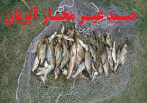 دستگیری متخلفان صید غیرمجاز ماهی در دلفان