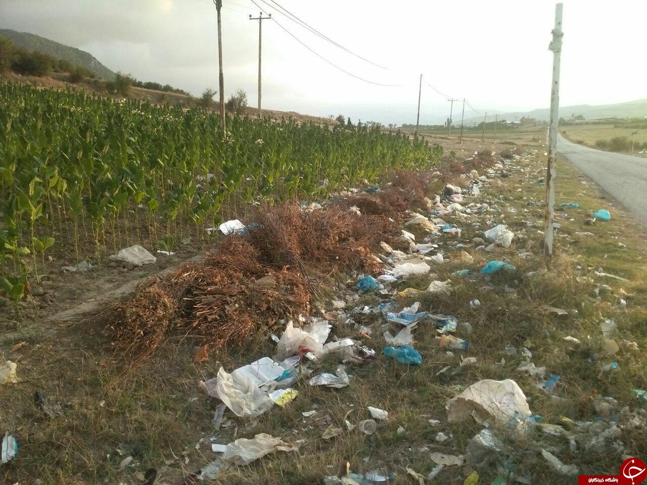 رهاسازی زباله در زمین&zwnj;های کشاورزی! + تصاویر
