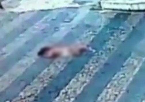 ایران در حوزه پهپاد بین 10 کشور برتر قرار دارد/مرگ برادر 2 ساله به دست برادر بزرگتر/انهدام باند شکارچیان مارهای سمی و کمیاب/مرگ دختربچهبر اثر سقوط از پنجره ساختمان ایران در حوزه پهپاد بین 10 کشور برتر قرار دارد/مرگ برادر 2 ساله به دست برادر بزرگتر/انهدام باند شکارچیان مارهای سمی و کمیاب/مرگ دختربچهبر اثر سقوط از پنجره ساختمان