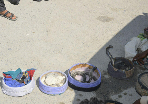ایران در حوزه پهپاد بین 10 کشور برتر قرار دارد/مرگ برادر 2 ساله به دست برادر بزرگتر/انهدام باند شکارچیان مارهای سمی و کمیاب/مرگ دختربچهبر اثر سقوط از پنجره ساختمان ایران در حوزه پهپاد بین 10 کشور برتر قرار دارد/مرگ برادر 2 ساله به دست برادر بزرگتر/انهدام باند شکارچیان مارهای سمی و کمیاب/مرگ دختربچهبر اثر سقوط از پنجره ساختمان