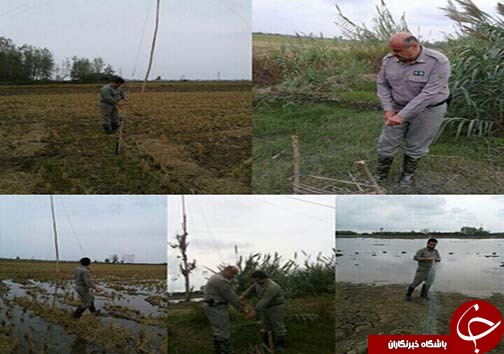 ۱۳ شکارچی غیرمجاز در تور ماموران محیط زیست مازندران