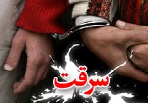 اعتراف پدر و پسر به بیش از 50  فقره سرقت در مهدیشهر