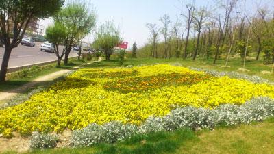 تفکیک 30 درصد از آبیاری فضای سبز کوهبنان از آب شرب