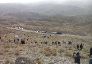 آغاز کشت گیاه دارویی باریجه در دامغان