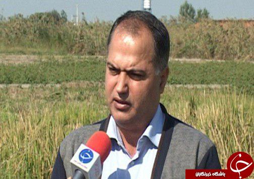 آب&zwnj;های زیر زمینی مازندران در چنگال سودجویان