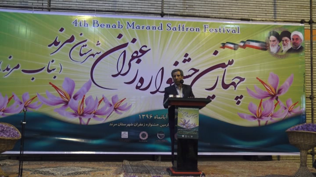 جشنواره برداشت طلای سرخ در بناب مرند