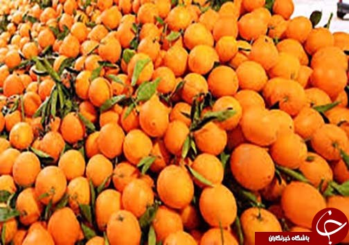 نگاهی گذرا به مهمترین رویداد&zwnj;های دوشنبه ۲۲ آبان ماه در مازندران