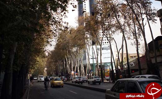 قتل سبز در خیابان ولیعصر/ پشت&zwnj;پرده جنایت در نیمه شب پایتخت