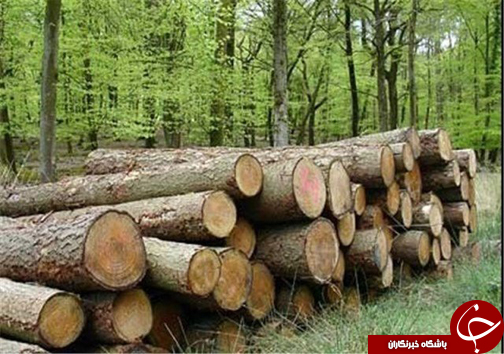 نگاهی گذرا به مهمترین رویداد&zwnj;های سه شنبه ۲۳ آبان ماه در مازندران