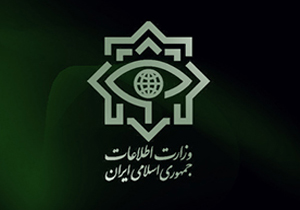 کشف هزار و 128 کانتینر کالای قاچاق در بندرعباس/باند 23 نفره قاچاقچیان منهدم شد