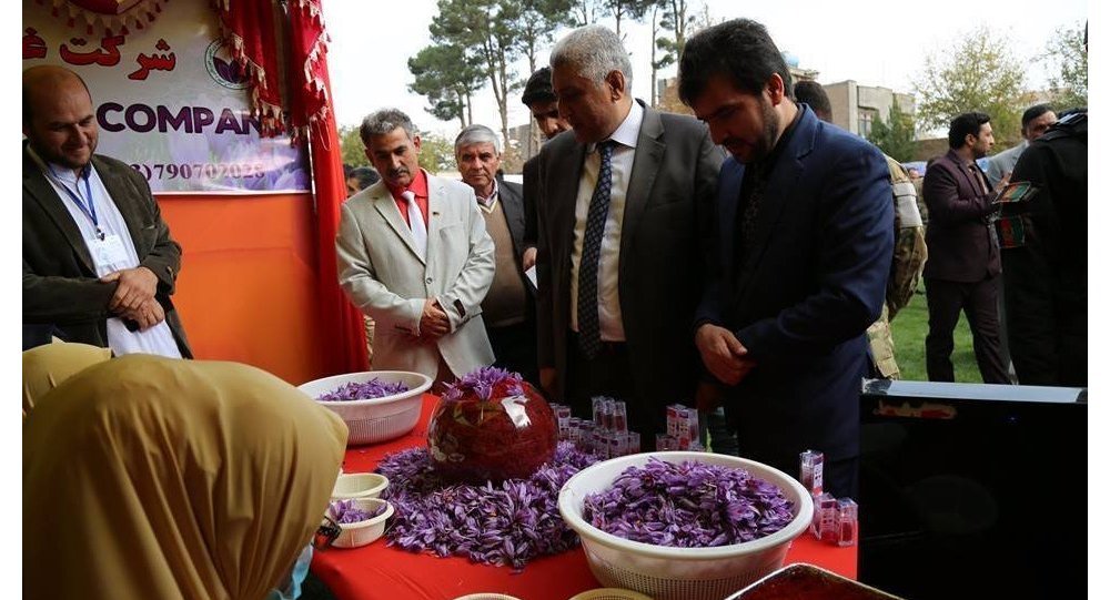 زعفران جایگزین مناسب کشت مواد مخدر در افغانستان