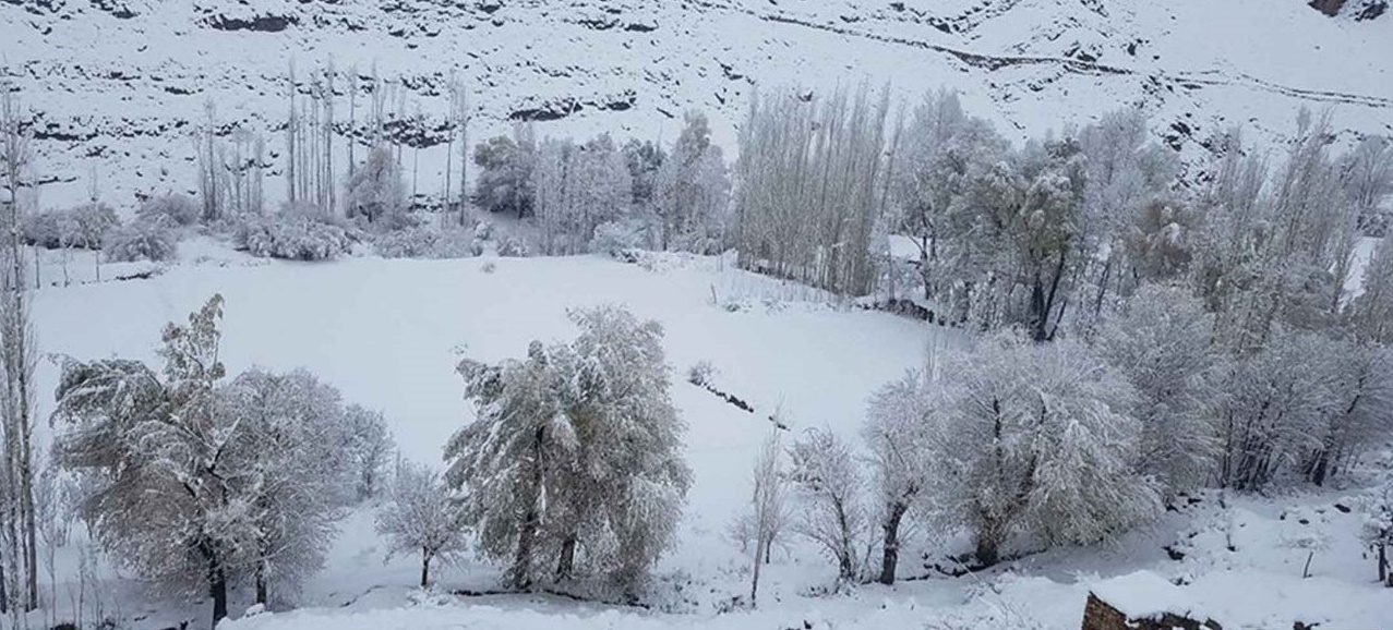 گزارش تصویری: بارش برف سنگین در ولایت غزنی