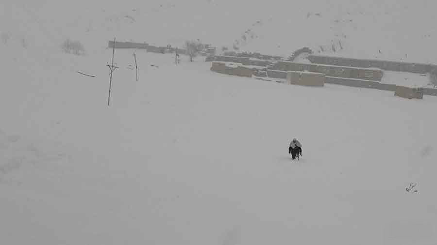 گزارش تصویری: بارش برف سنگین در ولایت غزنی