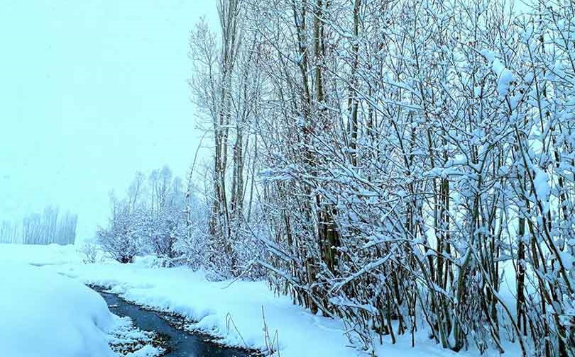 گزارش تصویری: بارش برف سنگین در ولایت غزنی