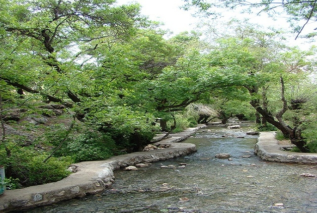 گام به گام با امام رضا (ع) در ایران