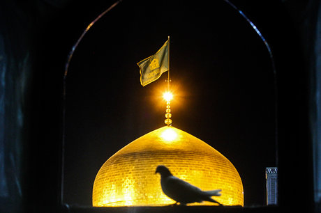 ن