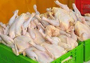 کشف مرغ فاسد در یک سالن پذیرایی