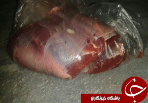 دستگیری شکارچی متخلف در منطقه شکار ممنوع نهبندان