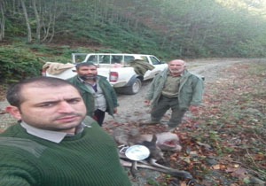 متخلفان شکار مرال در دام محیط بانان نوشهری