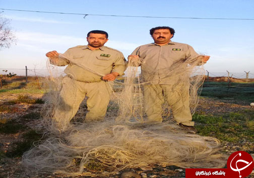 جمع آوری و تخریب ۲۰ رشته دام هوایی در مازندران +تصاویر