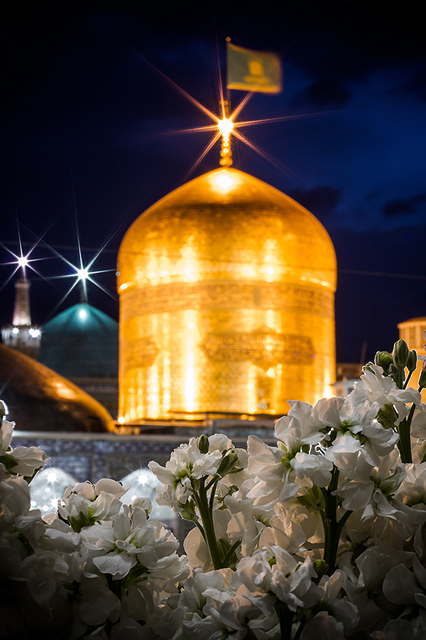 تصاویر زیبا حرم امام رضا(ع)