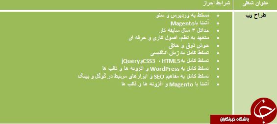 استخدام طراح وب مسلط به WordPress و SEO