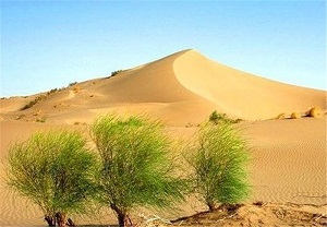 طرحی که اجرایش منجر به کاهش گازهای گلخانه ای می‌شود + فیلم