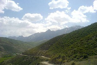 پیچ وخم های مرگبار یک جاده روستایی + فیلم
