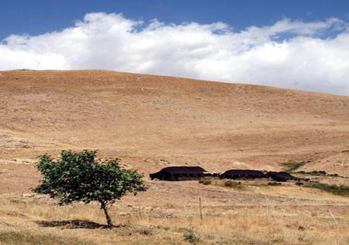 گزارش تصویری از زندگی سنتی عشایر لرستان