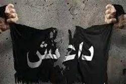 جنازه‌های داعشی زیر پای نیروهای مقاومت + فیلم