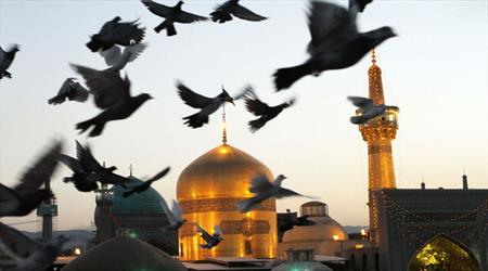 تخصصی&zwnj;ترین دوره علمی، امامت علی ابن موسی الرضا (ع) بود