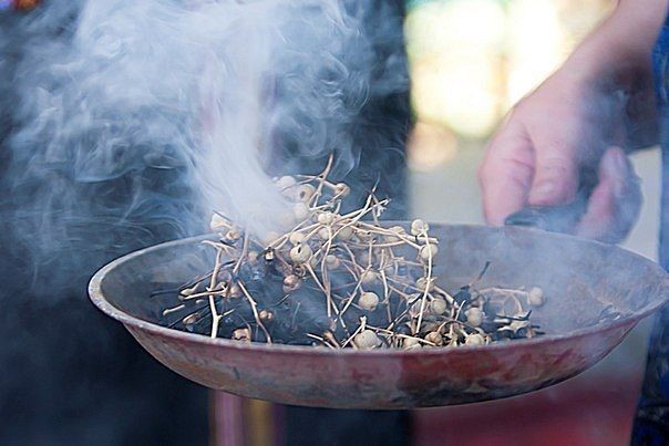 آیا اسپند ضدعفونی کننده است؟