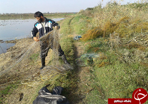تخریب دام&zwnj; های هوایی در بابلسر، جویبار و گلوگاه + تصاویر