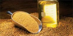 لزوم خروج روغن از سبد کالای اساسی خانوار/غرامت کلزاکاران به زودی پرداخت می شود