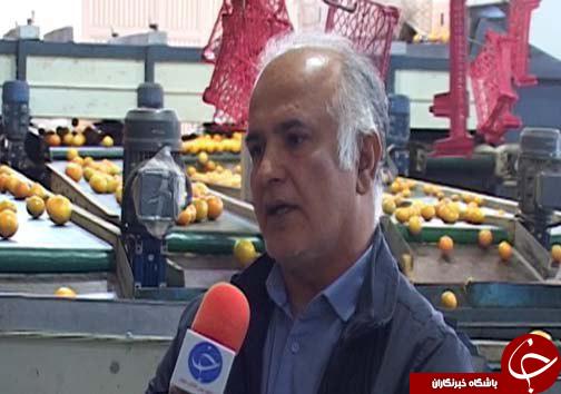 خوش&zwnj; رنگ شدن میوه&zwnj;های بازار به لطف گاز اتیلن