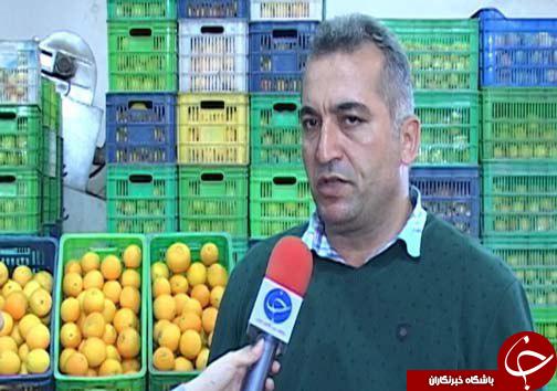 خوش&zwnj; رنگ شدن میوه&zwnj;های بازار به لطف گاز اتیلن