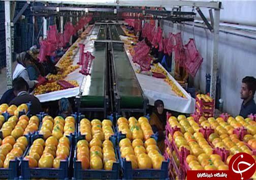 &nbsp;نگاهی گذرا به مهمترین رویداد&zwnj;های شنبه ۲۷ آبان ماه در مازندران
